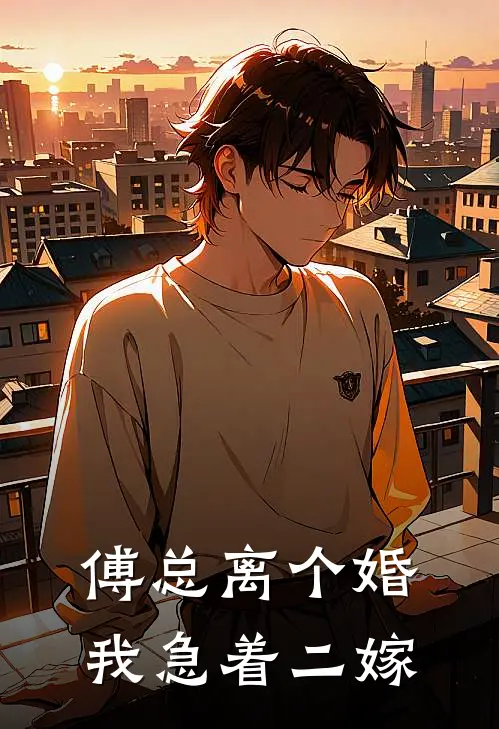 傅总离个婚，我急着二嫁